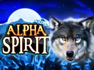 Shabubet screenshot
